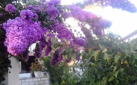 Apartman Branka